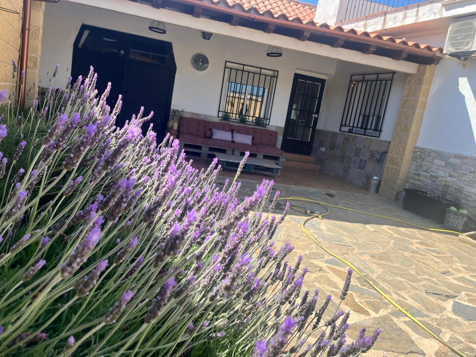 Casa Rural Valentina Almonacid de Toledo Экстерьер фото